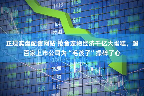 正规实盘配资网站 抢食宠物经济千亿大蛋糕，超百家上市公司为“毛孩子”操碎了心
